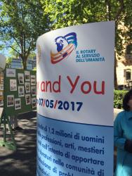 Rotary and You